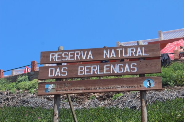 ^786CE85E323A61EFCA852744A8E96CB2FB5ACEBDE3ACEBC3E7^pimgpsh_fullsize_distr